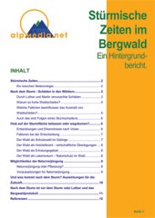 Stürmische Zeiten im Bergwald (Čas viharjev v gorskih gozdovih). Osnovni dokument