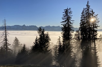 Alpska pokrajina ni obnovljiva!